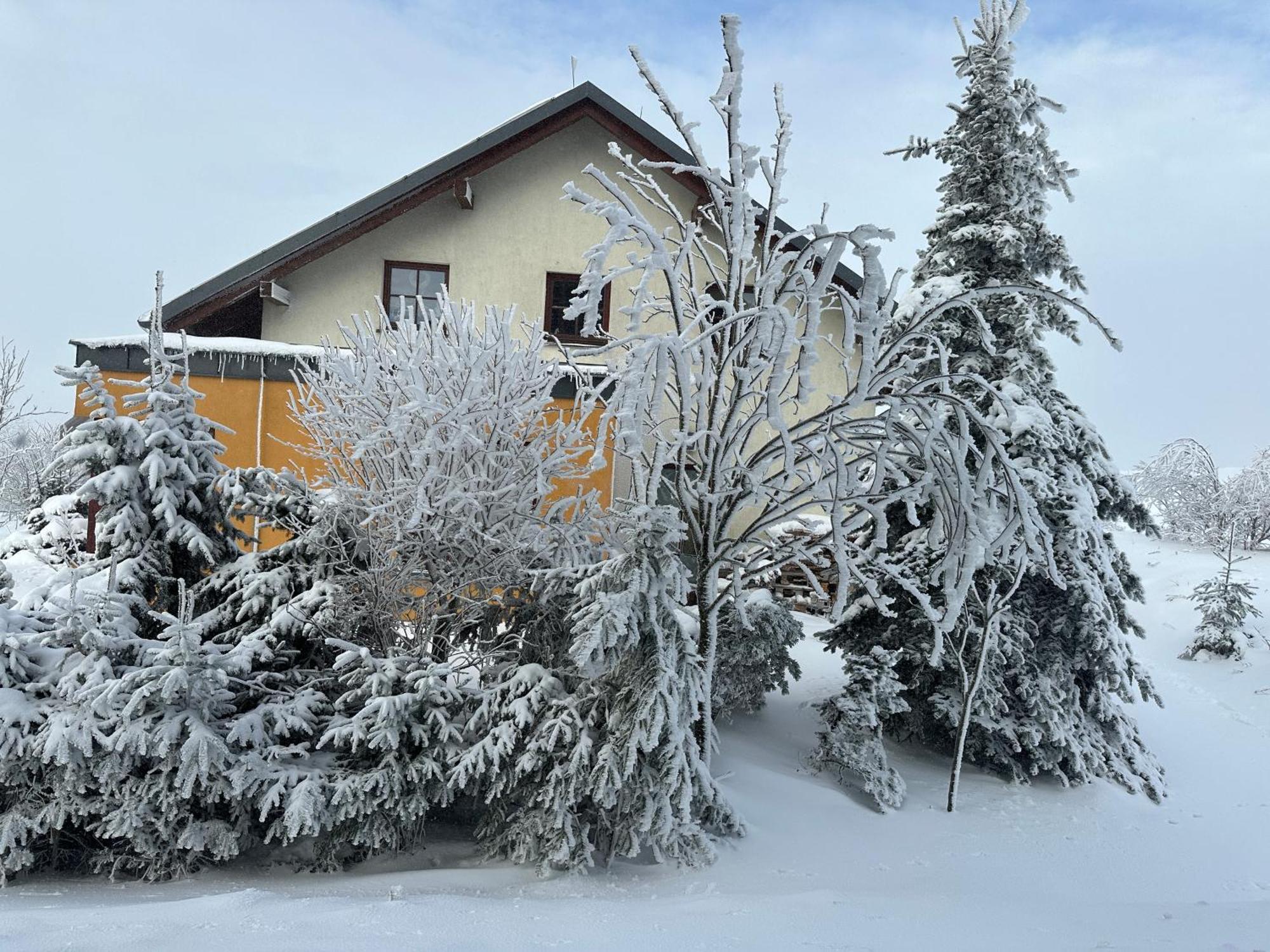 Srdeční záležitost Boží Dar Vila Exterior foto